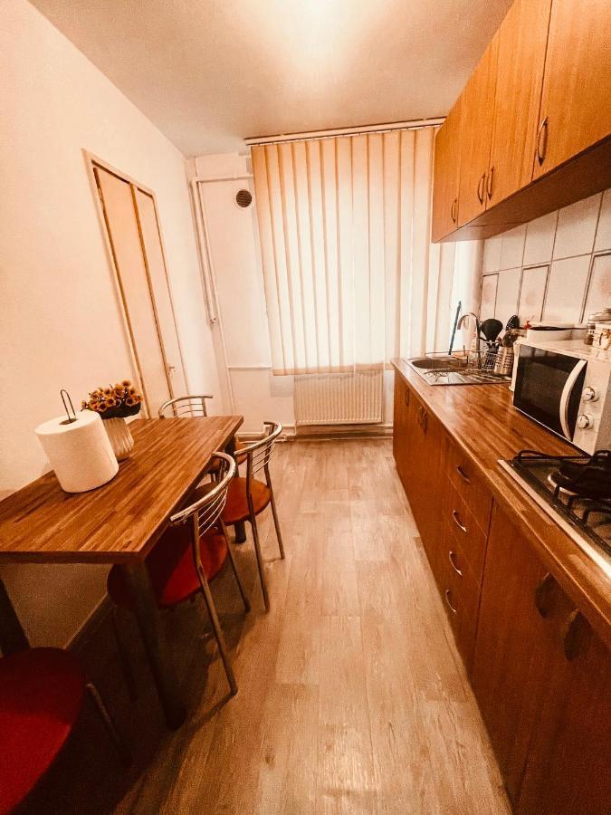 Ultracentral Big Apartment - Near The Opera Square P17 Тимишоара Экстерьер фото