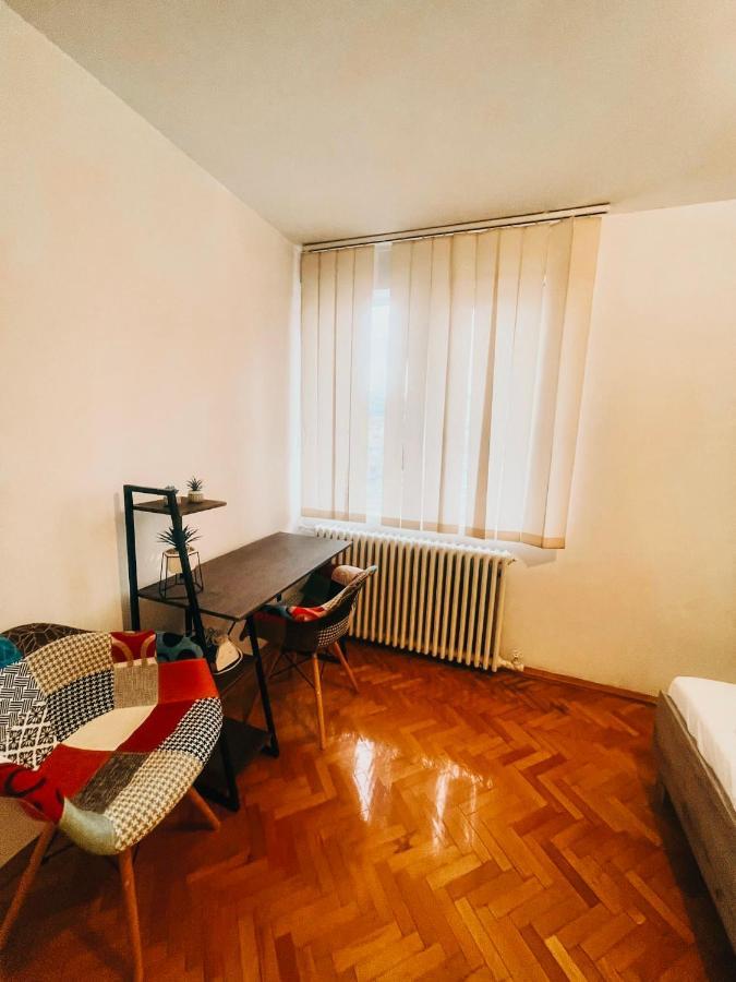 Ultracentral Big Apartment - Near The Opera Square P17 Тимишоара Экстерьер фото