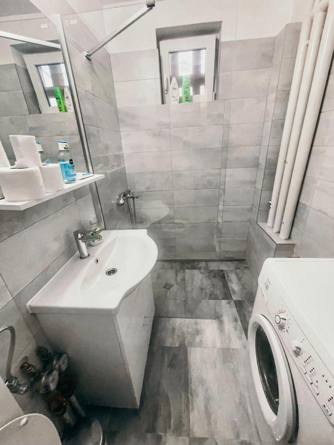 Ultracentral Big Apartment - Near The Opera Square P17 Тимишоара Экстерьер фото