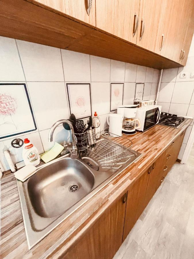 Ultracentral Big Apartment - Near The Opera Square P17 Тимишоара Экстерьер фото