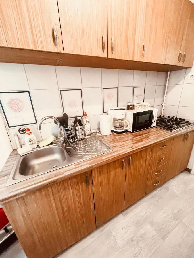 Ultracentral Big Apartment - Near The Opera Square P17 Тимишоара Экстерьер фото