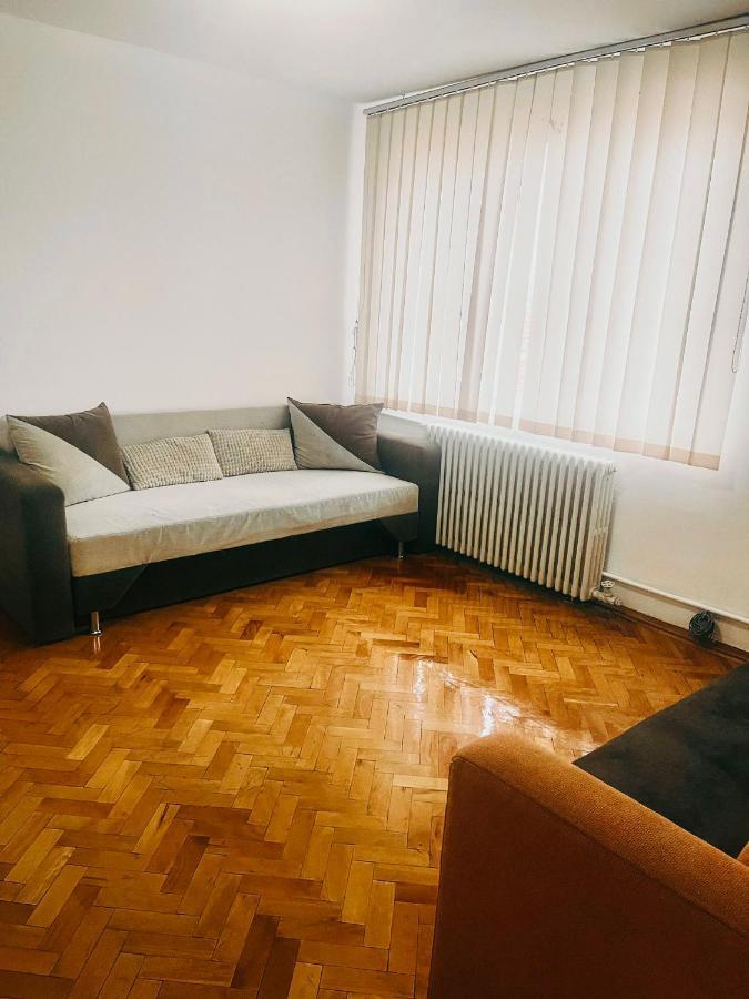 Ultracentral Big Apartment - Near The Opera Square P17 Тимишоара Экстерьер фото