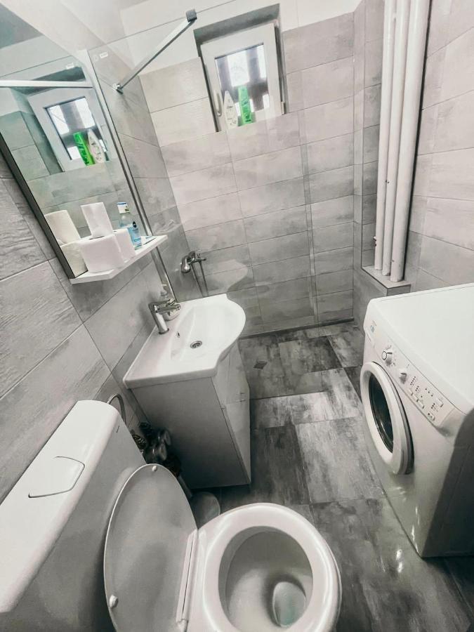 Ultracentral Big Apartment - Near The Opera Square P17 Тимишоара Экстерьер фото